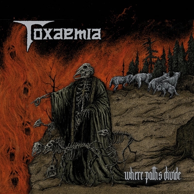 TOXAEMIA - &quot;Where paths divide&quot;